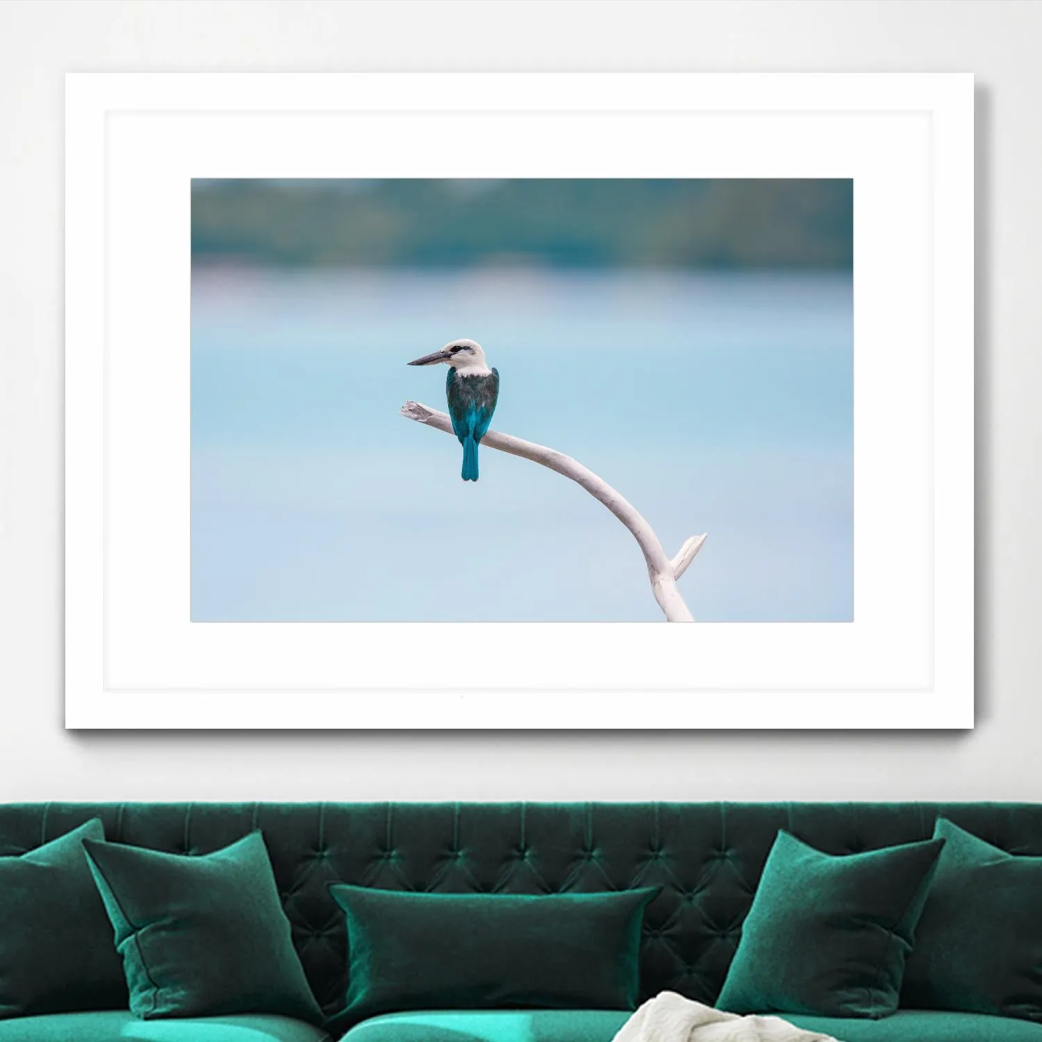 Bird on a branch