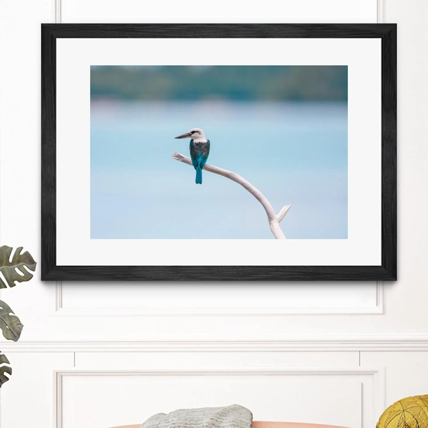Bird on a branch