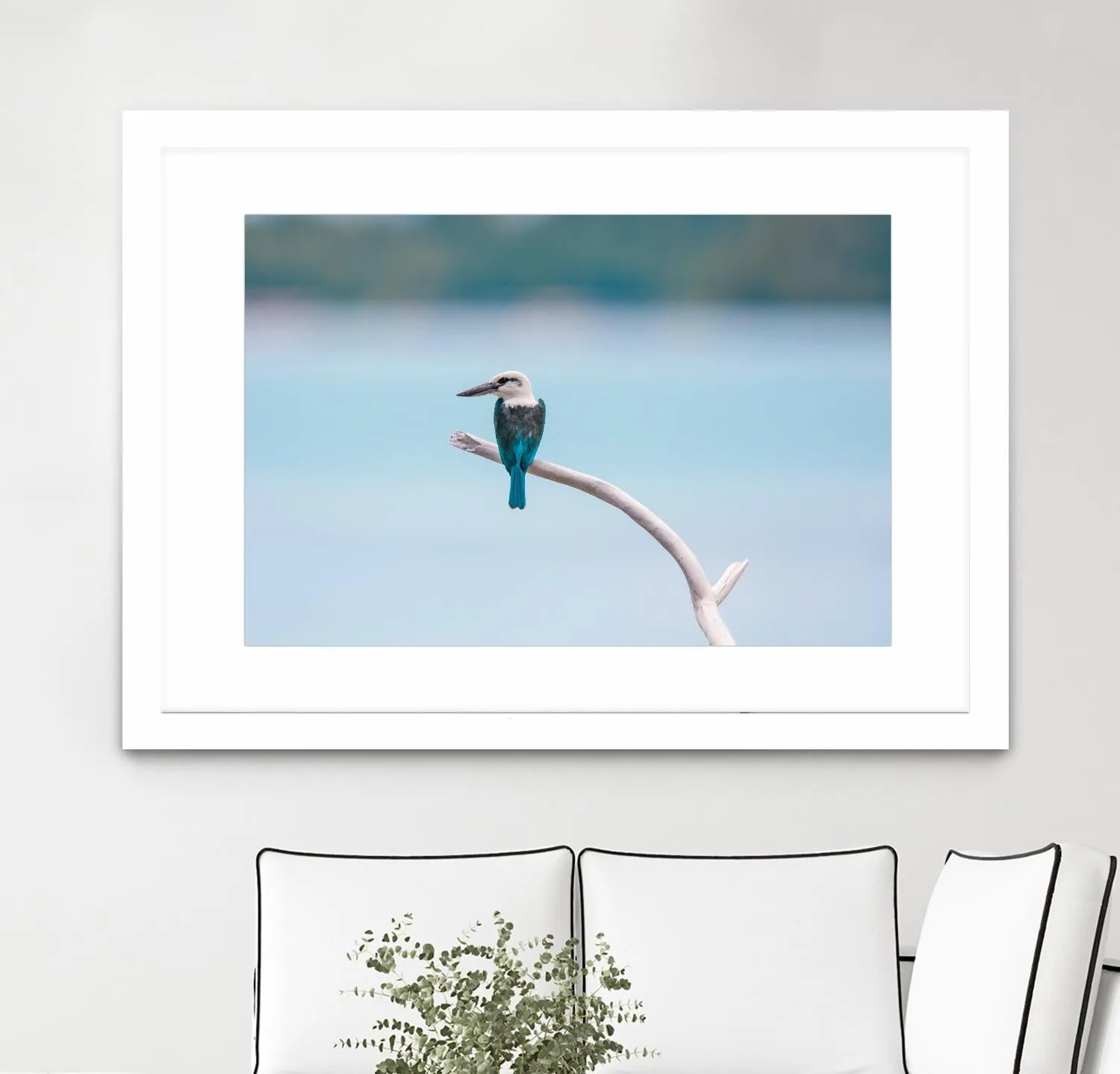 Bird on a branch