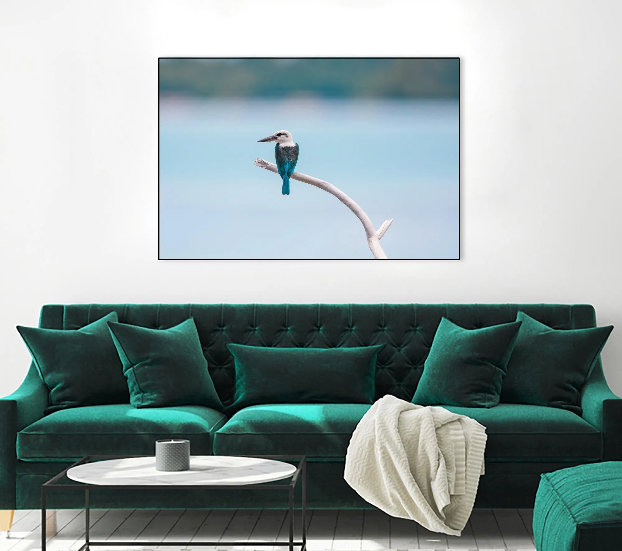 Bird on a branch