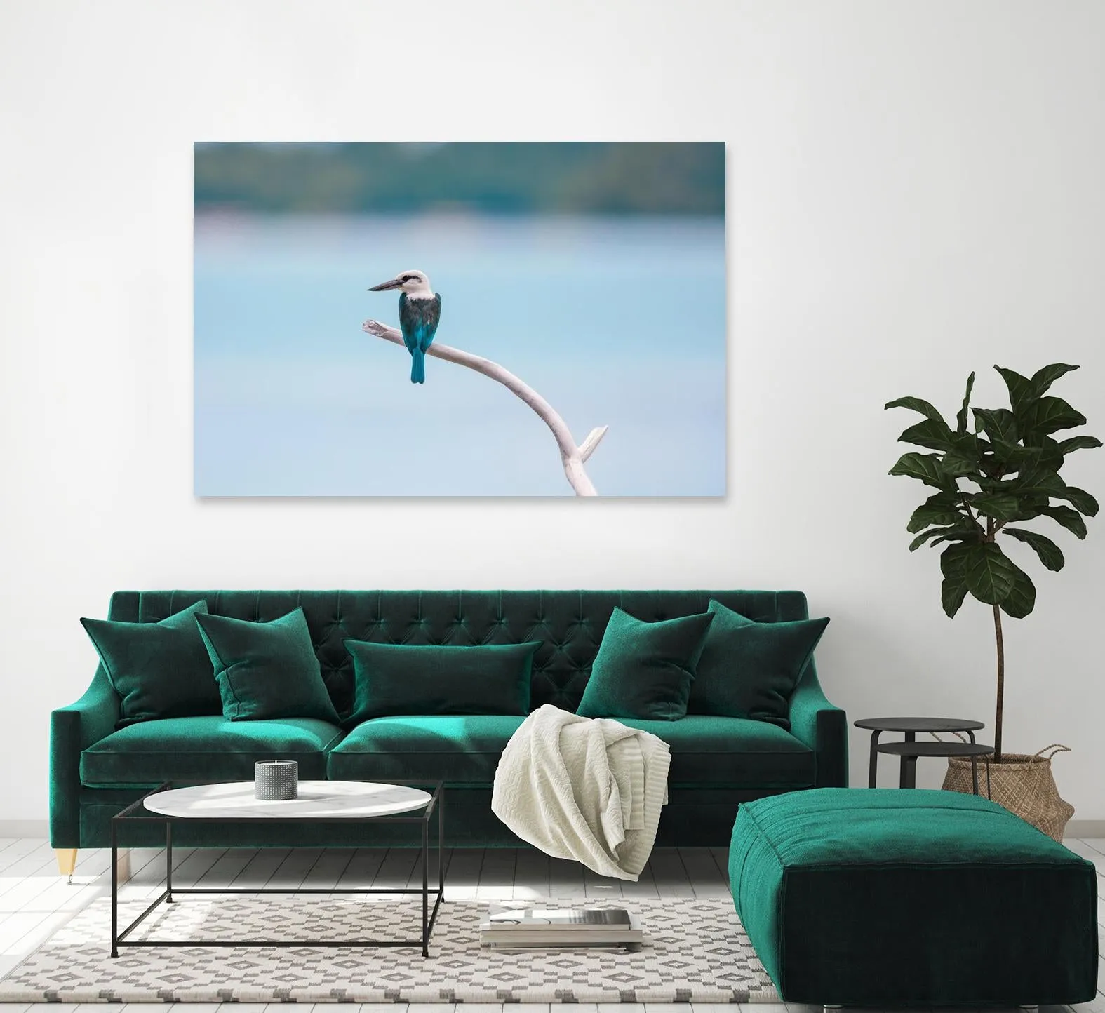 Bird on a branch