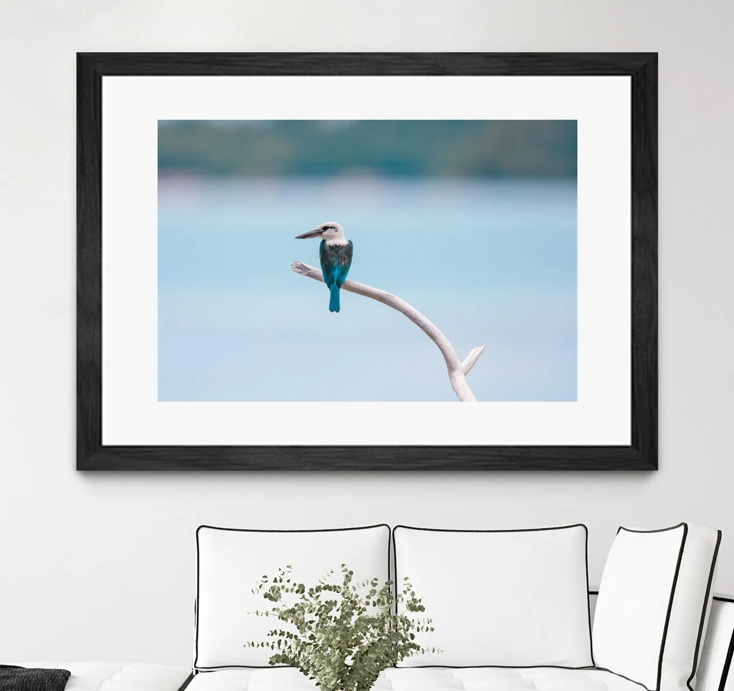 Bird on a branch