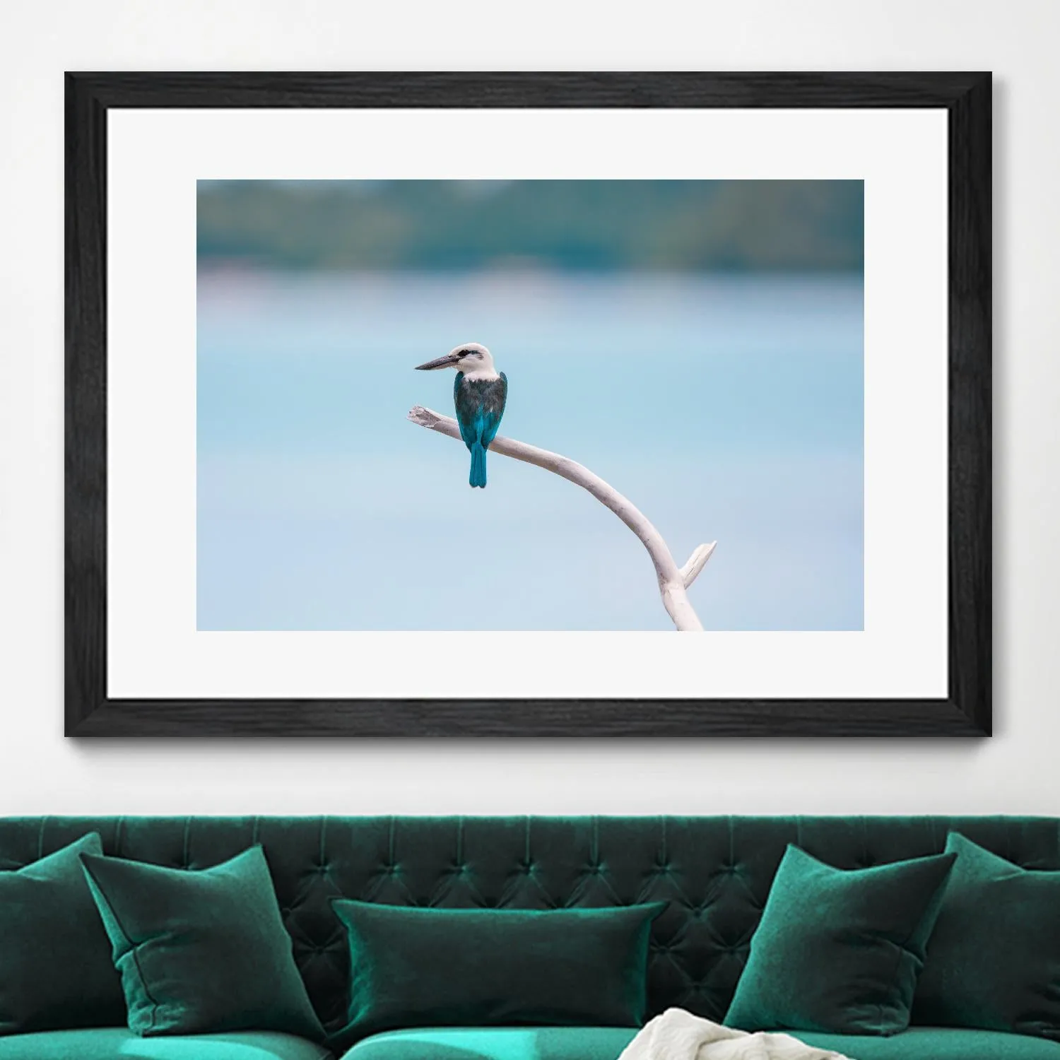 Bird on a branch