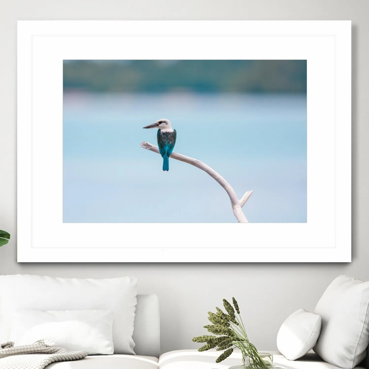 Bird on a branch